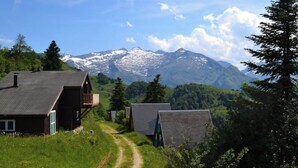 Eksteriør