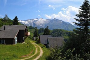 Exterior - Relaxation and Nature in the heart of the Pyrenees (Aulus Les Bains)