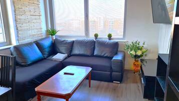 City Apartment | Living area | 32-inch flat-screen TV with digital channels, TV