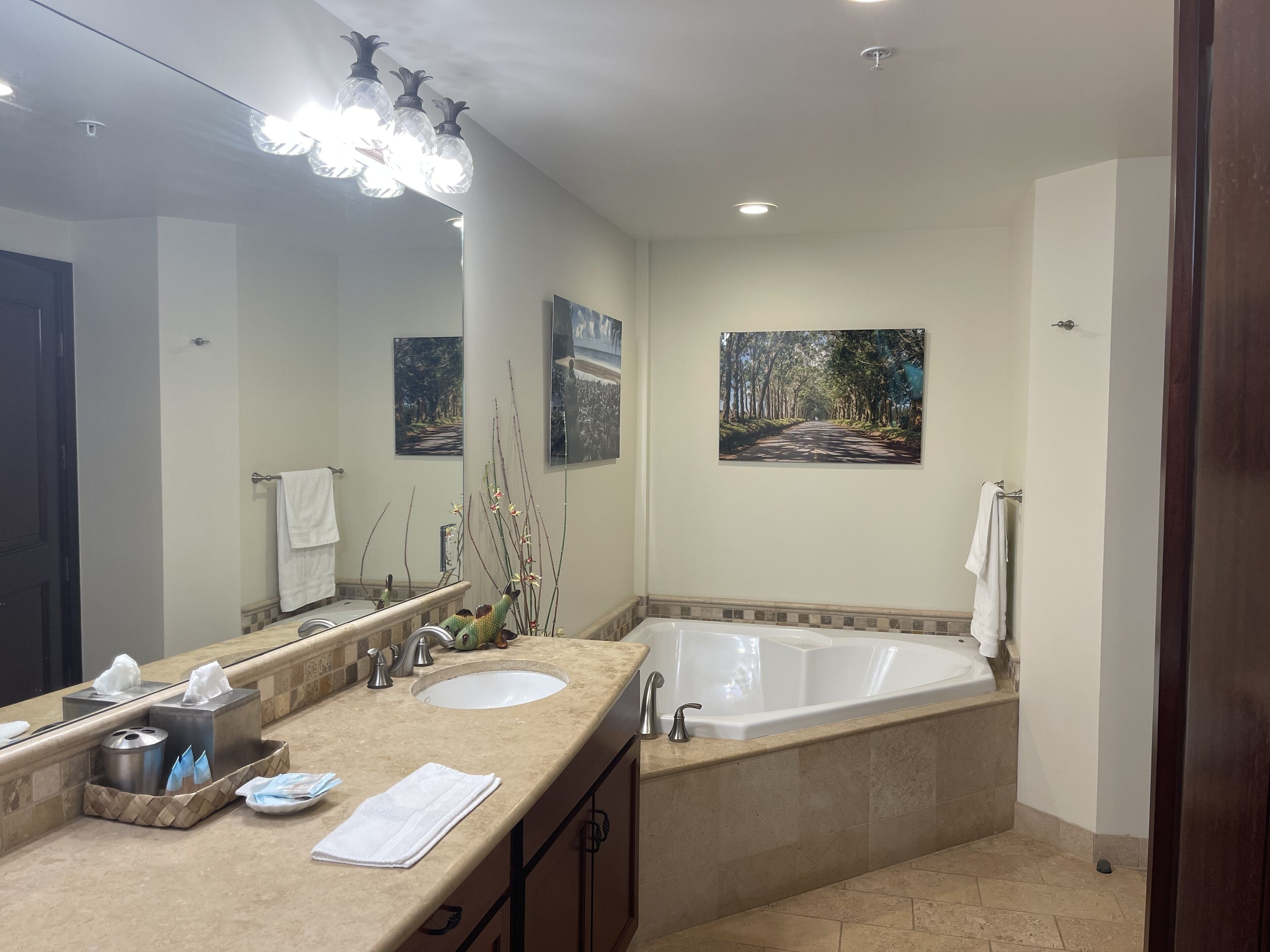 Bathtub, hair dryer, towels, soap