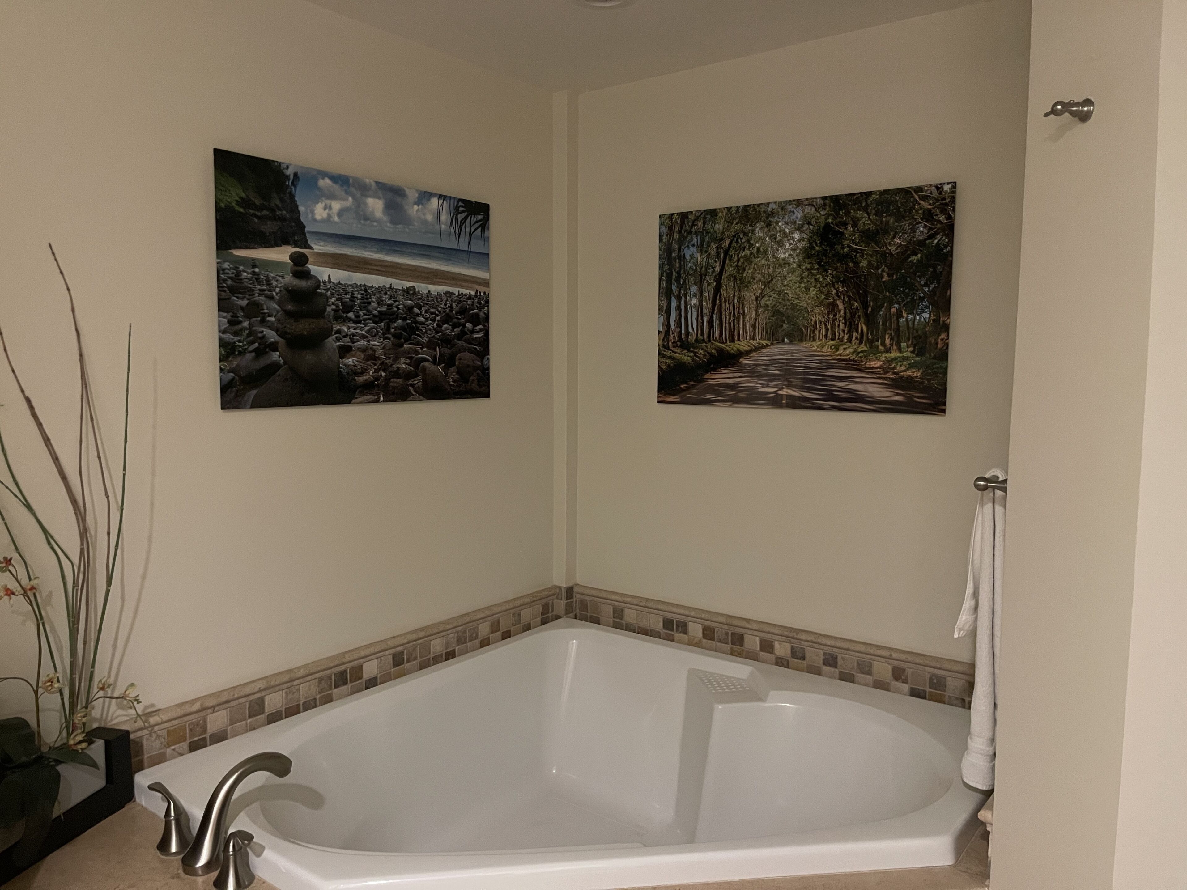 Bathtub, hair dryer, towels, soap