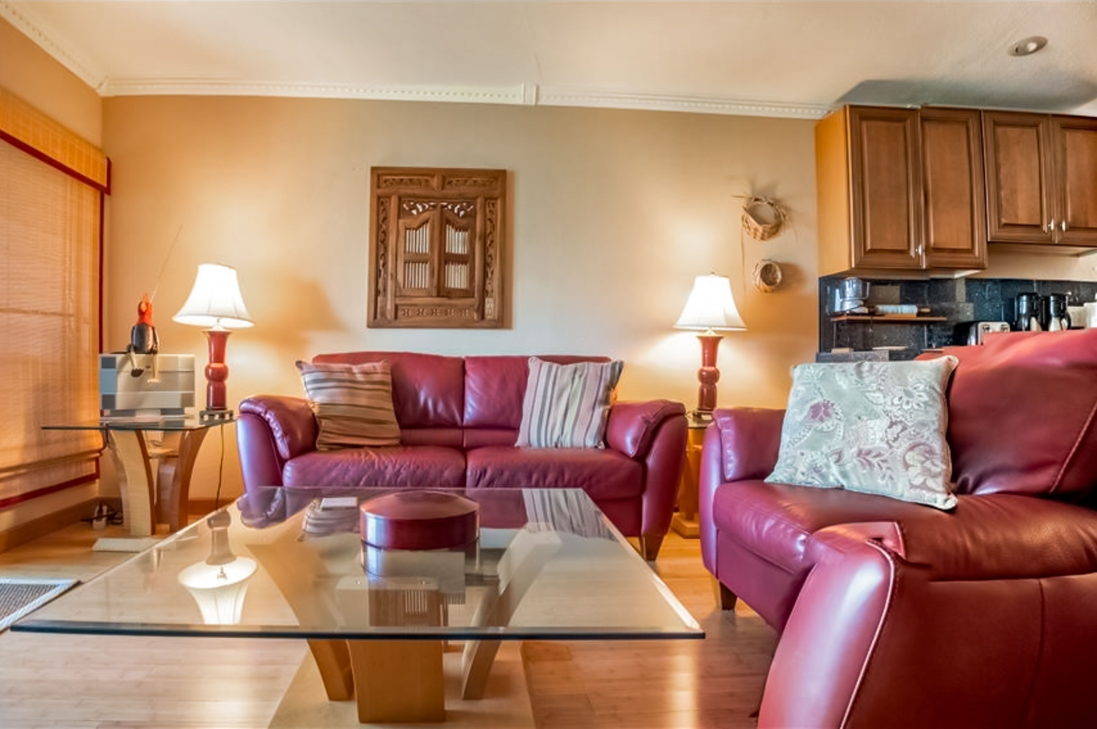 TV, DVD player, books, video library