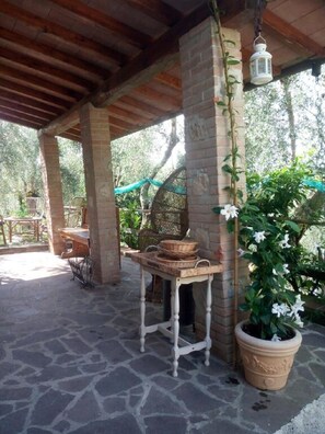 Terraza o patio
