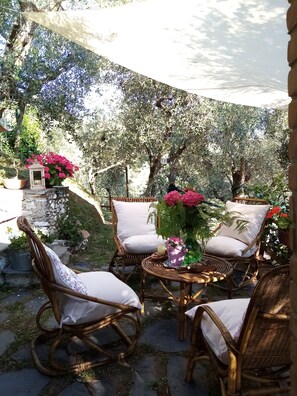 Terraza o patio