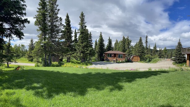 A rustic cabin surrounded by tall trees and a well-maintained lawn.