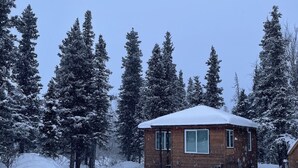 A small wooden cabin surrounded by snow-covered trees.