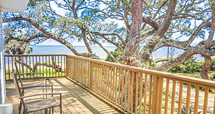 Dog-friendly home with lovely water view, roomy deck, fast WiFi, central AC, W/D