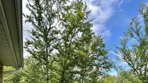 Outdoor dining - Le Rivat – Chalet for 12 guests + 2 children (Saint-Gabriel-de-Valcartier)