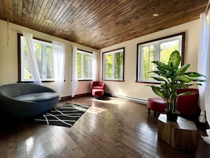 A room with a wooden ceiling, large windows, a black and white rug, a red chair, and a potted plant.