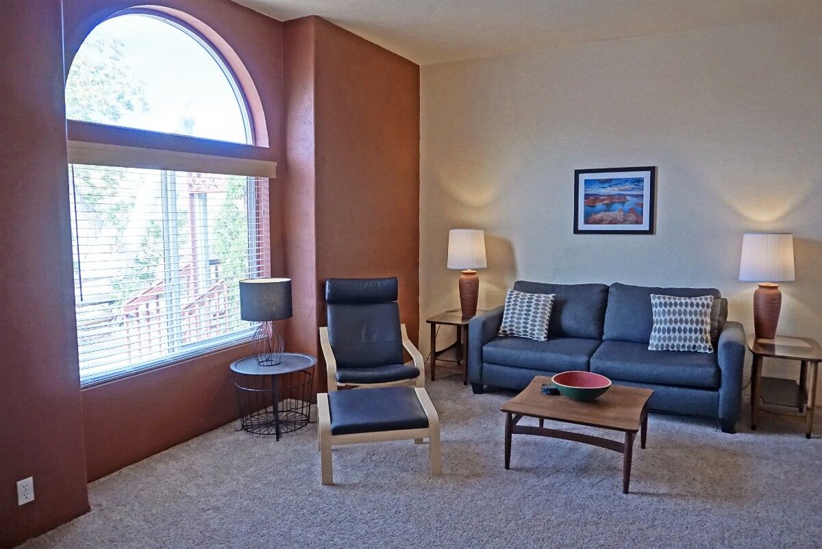 Televisor, reproductor de DVD i llibres 