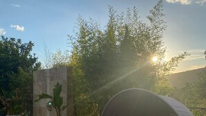 未分类图片，第 3 张，共 50 张，按钮