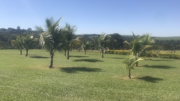 Área da propriedade