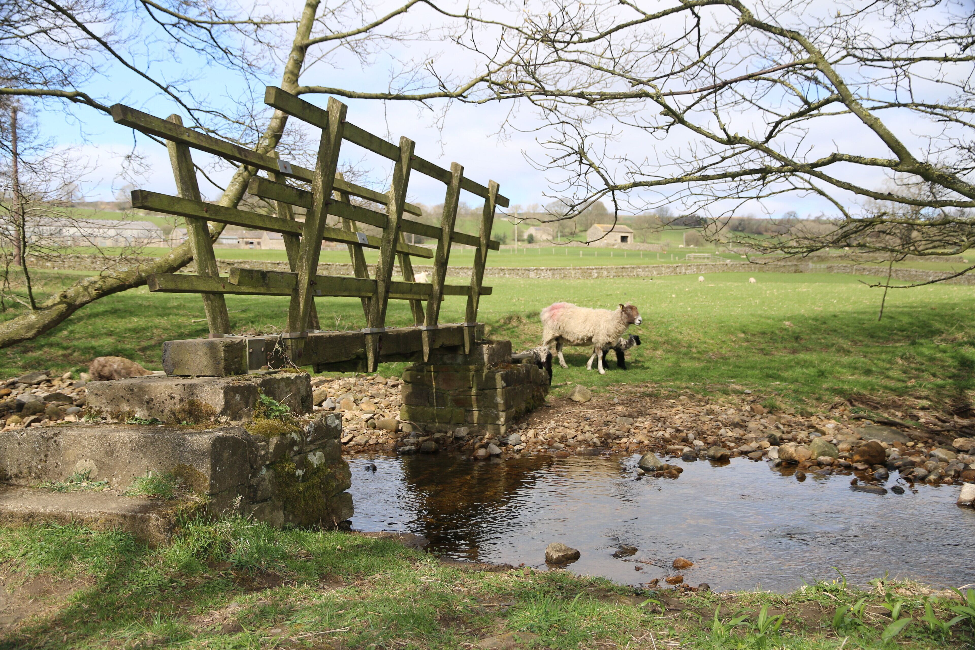 Local walks from the door