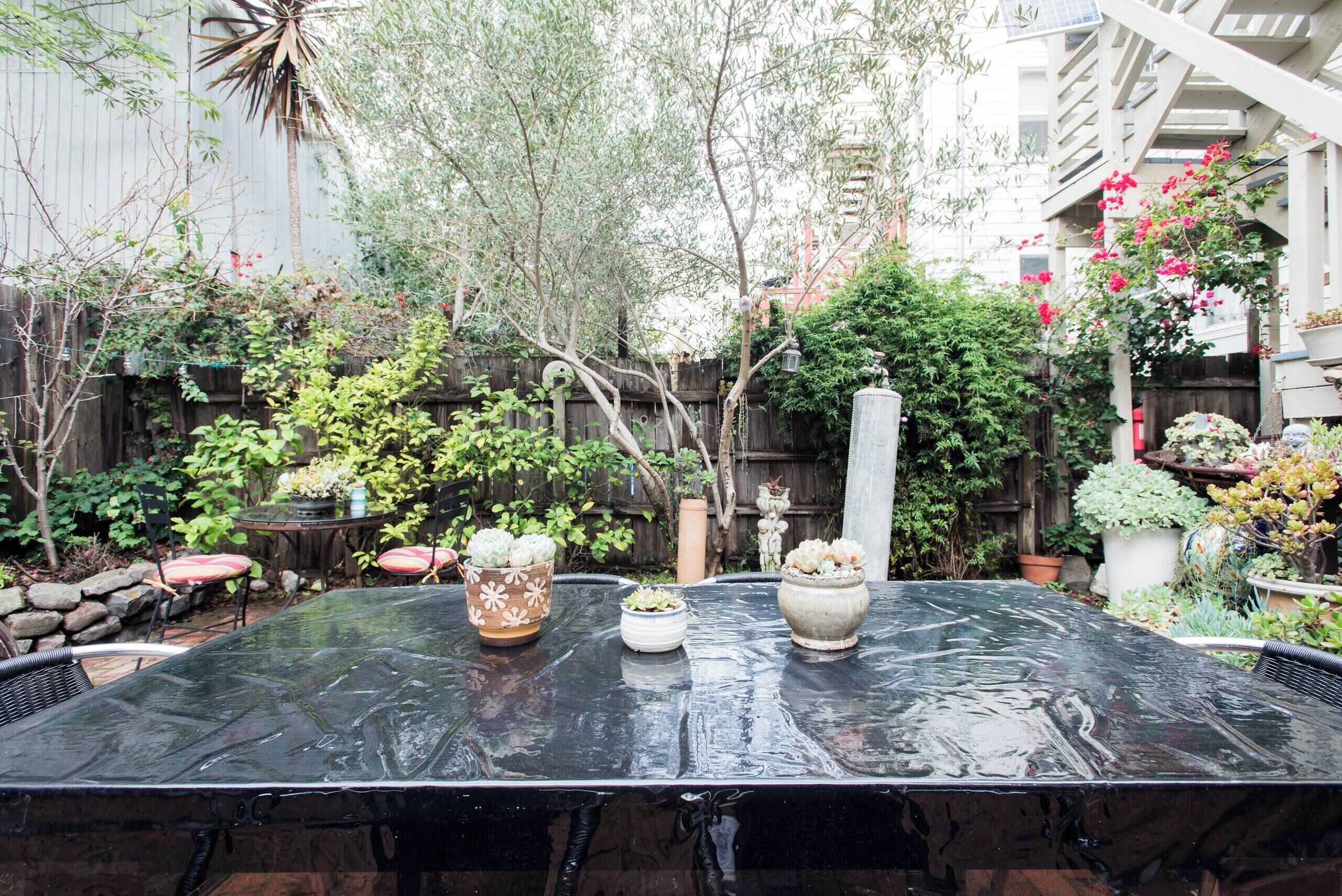 Classic Inner Mission Living in an Historic First-Floor Home