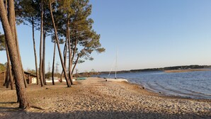Een zandstrand met hoge bomen en een zeilboot.