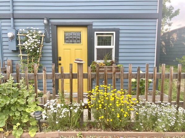 A house with a yellow door, a wooden fence, and various plants in the front yard.