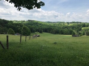 Paisagem rural com um campo gramado, algumas árvores esparsas e alguns edifícios pequenos.