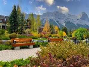Terrain de l’hébergement 