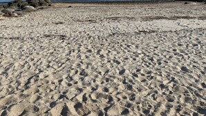 A sandy beach with a clear sky and calm sea. - Waterfront Beach House (Clinton)