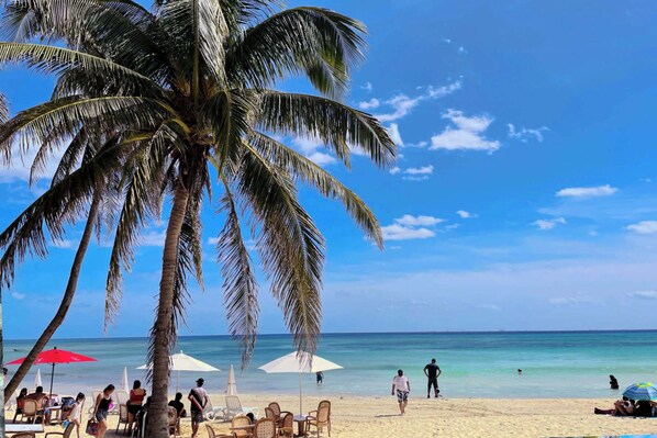 A beach with palm trees, beach chairs, and umbrellas.