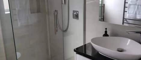 Shower, hair dryer, soap, toilet paper