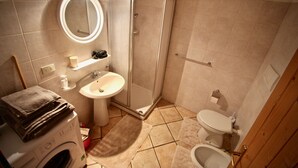 A bathroom with a shower, sink, toilet, and a washing machine. - Il Mulino Pdl (Ponte di Legno)
