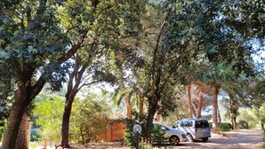 Un terrain de camping avec un véhicule garé près d’un arbre, entouré d’un feuillage dense.