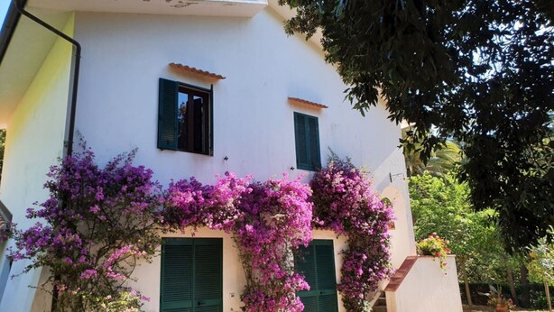 Un edificio blanco con contraventanas verdes y una escalera que conduce a una puerta.
