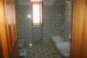 Combined shower/bathtub, bidet, towels