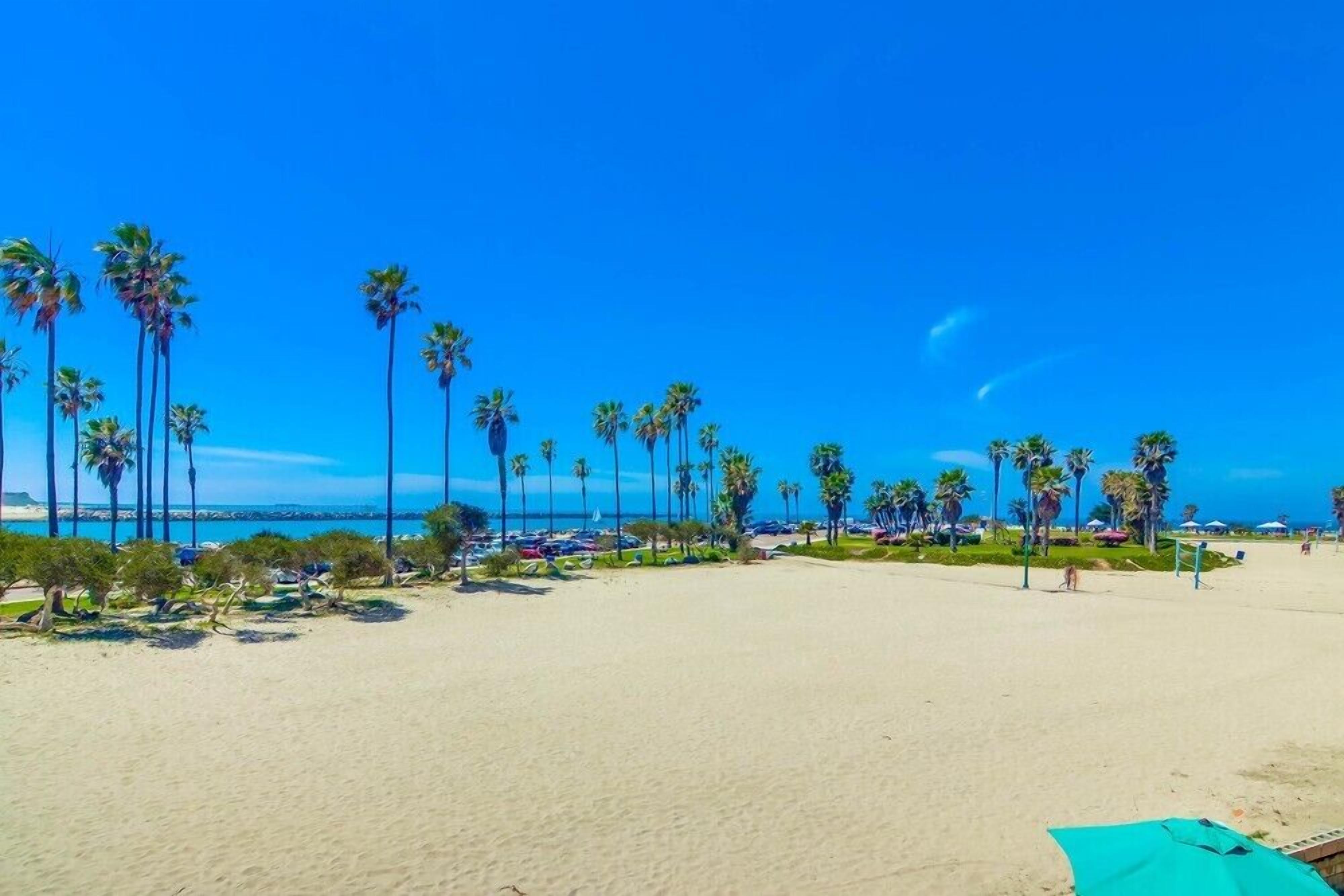 A beach with palm trees, a clear blue sky, and a parking area.