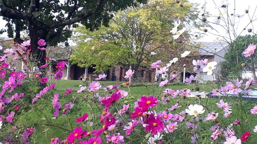 Loin de la ville et pourtant si près!