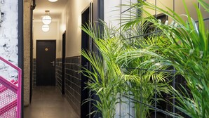 Un couloir avec un escalier, une porte au fond et une plante au premier plan.