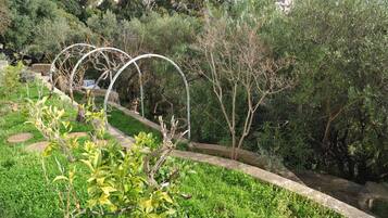 Terrein van de accommodatie