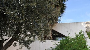 A concrete staircase with a curved wall on one side and a tree on the other.