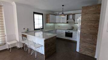 Fridge, oven, stovetop, electric kettle