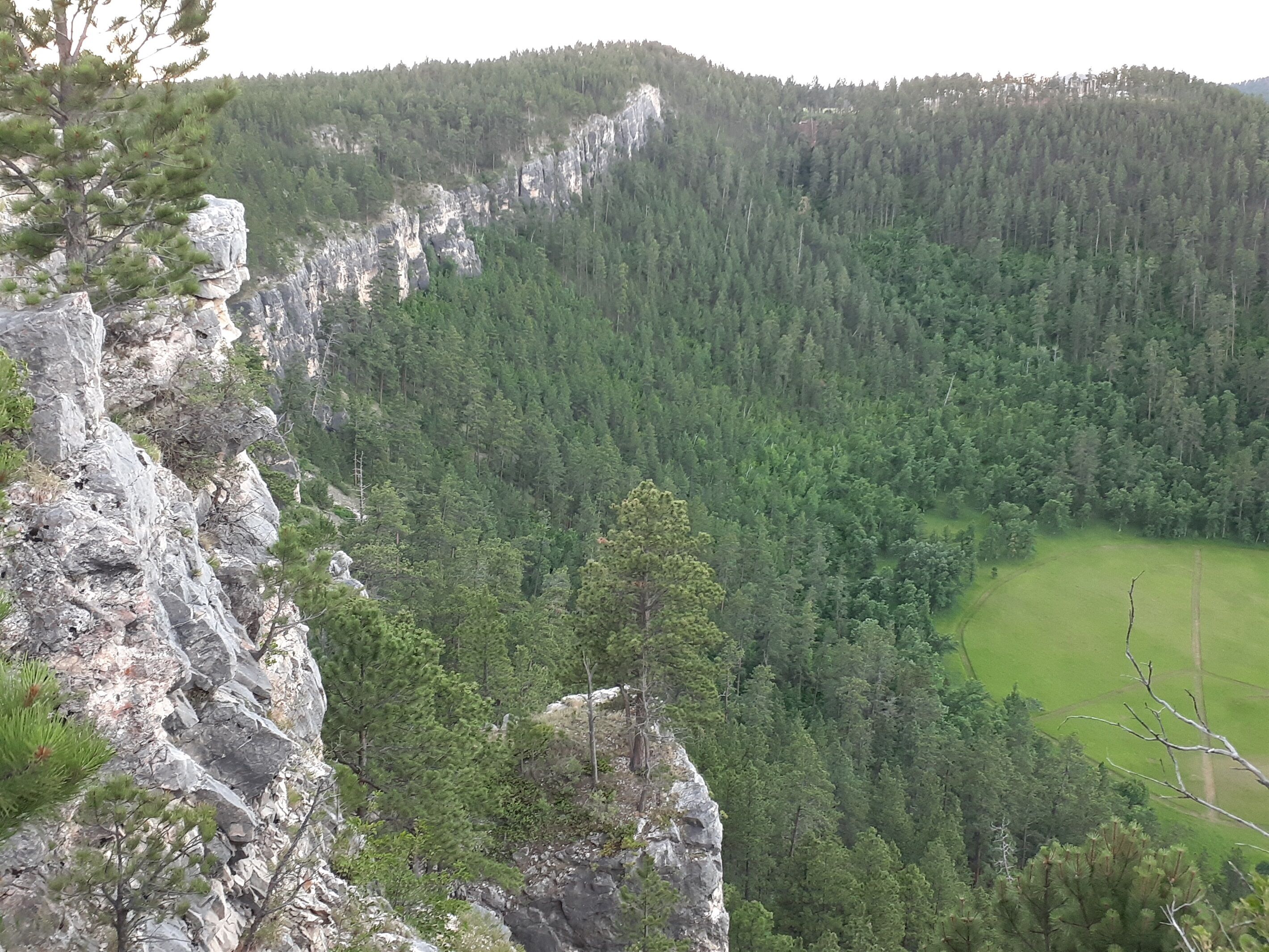 Un paisaje montañoso con denso bosque y acantilados rocosos.