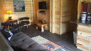 TV, DVD player, books, video library