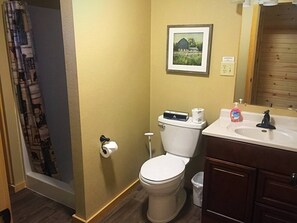 Bathtub, hair dryer, towels