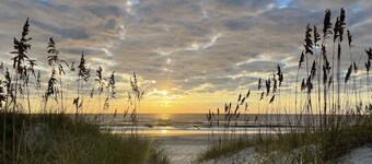   🌸Luxury Retreat Next to Ritz Carlton