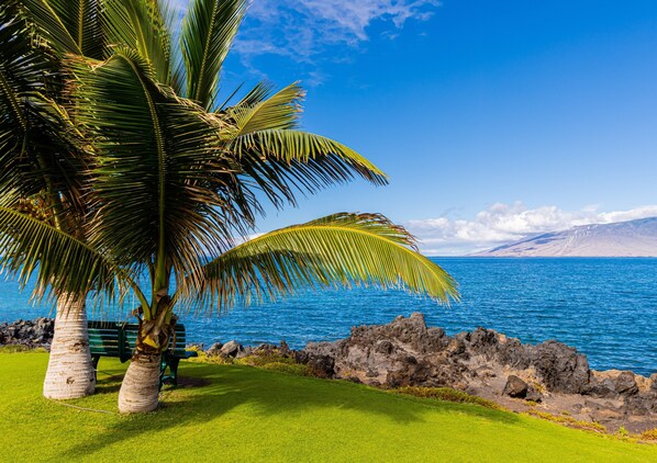 *Maui Inspiration Images* - Stunning Kihei Condo New Split AC Ocean and Pool Views Large Lanai Beach (Kihei)