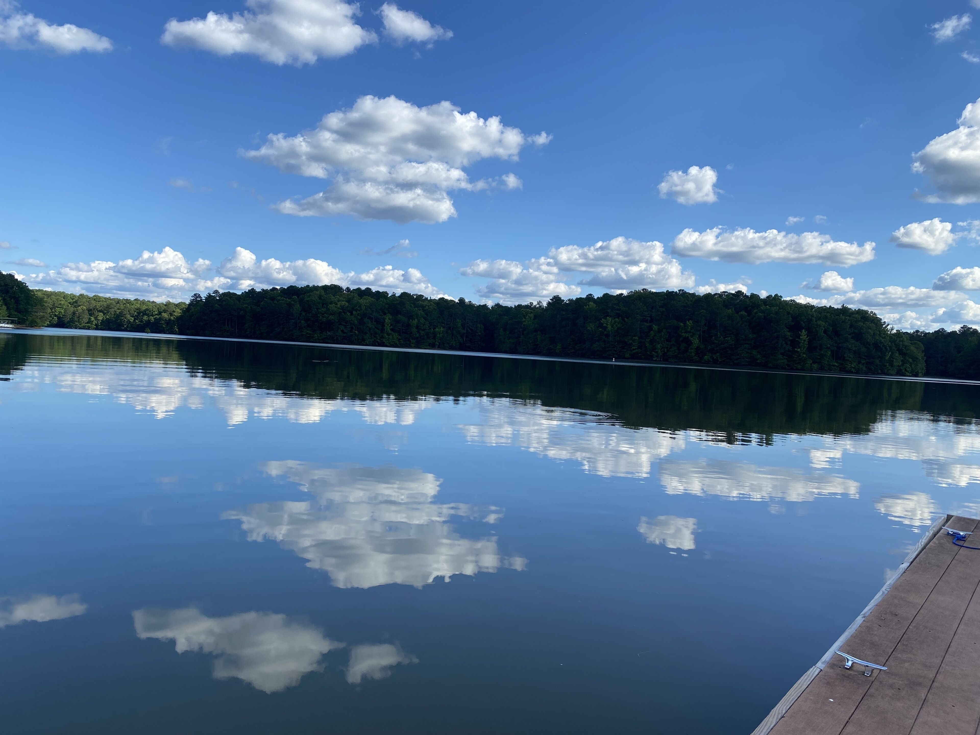 Un lago tranquilo con un muelle y una orilla bordeada de bosque.