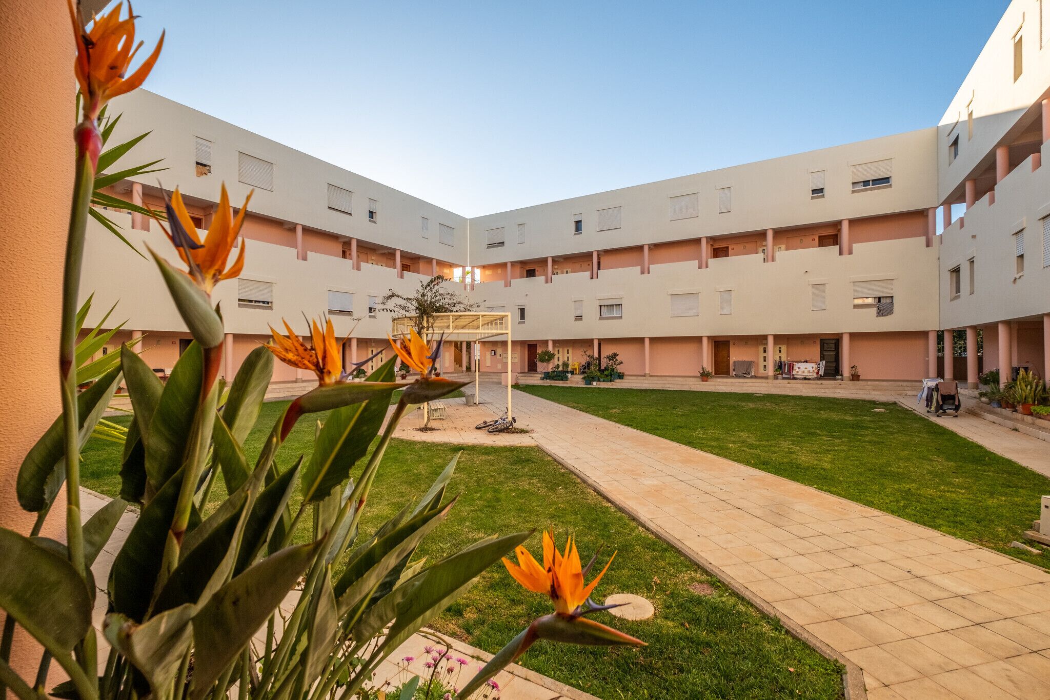 A courtyard with a central lawn, surrounded by multi-story buildings with balconies and windows.