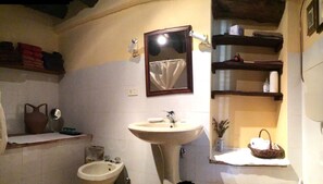 Shower, hair dryer, bidet, towels