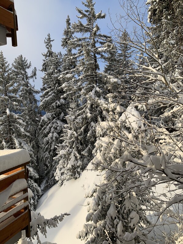 Property grounds - 3 Bedroom Apartment in Crans-Montana (Crans-Montana)