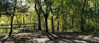 Cabin #8 near beautiful Cedar River.