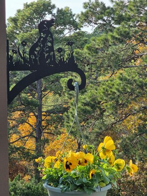 تفاصيل الفندق من الخارج