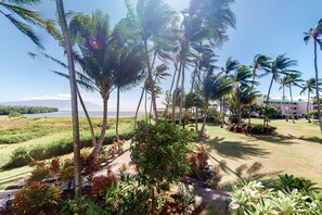 Property grounds - Terrific Condo w/Free WiFi, Shared Pool, Tennis Court, Water Views, Shared W/D (Kaunakakai)