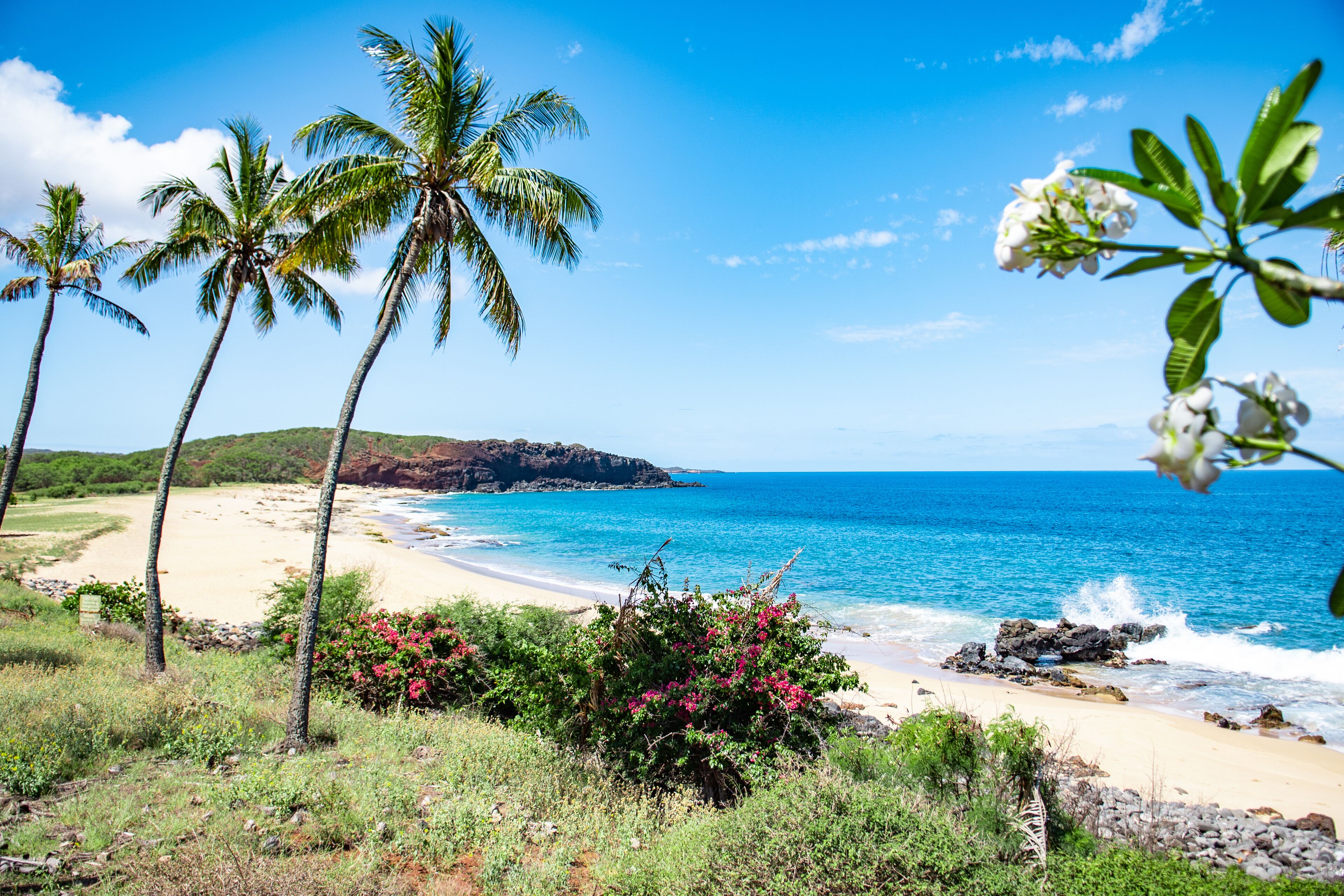 Ocean View, Ground-Floor Condo w/ Lanai, WiFi, Shared Pool - Walk to Beach