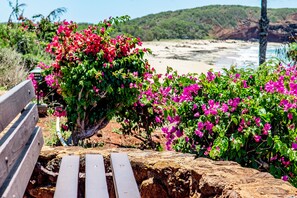 Property grounds - Ocean View, Ground-Floor Condo w/ Lanai, WiFi, Shared Pool - Walk to Beach (Maunaloa)