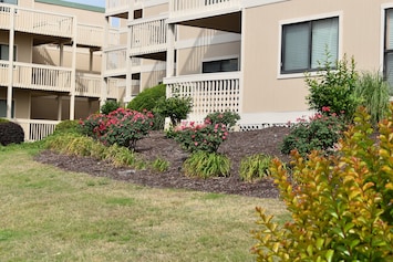 Front - Balcony